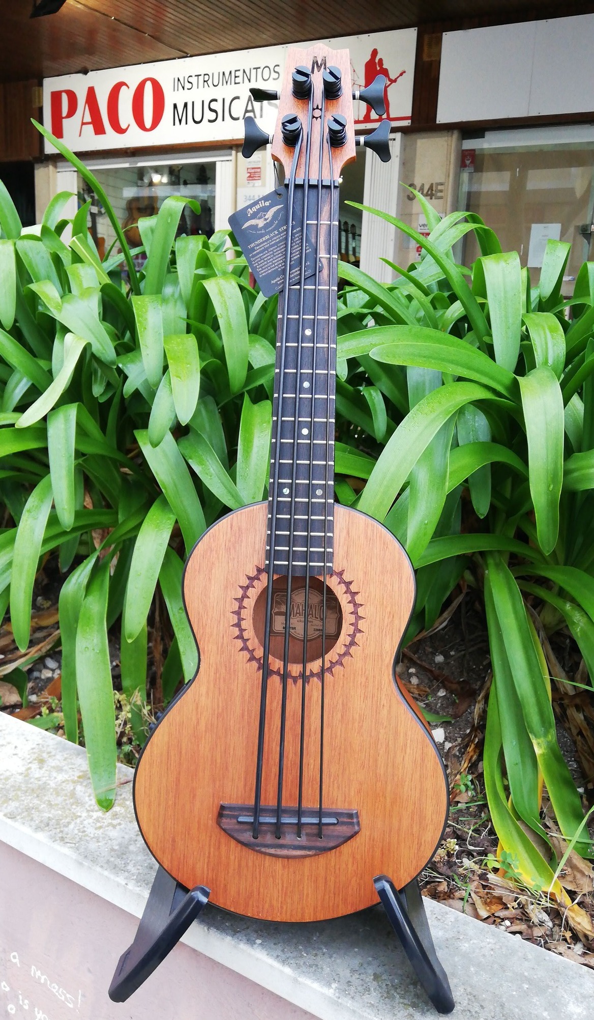 Paco Instrumentos Musicais - Image 6