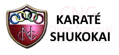 Karaté Shukokai - Clube Nacional de Ginástica - Image 2