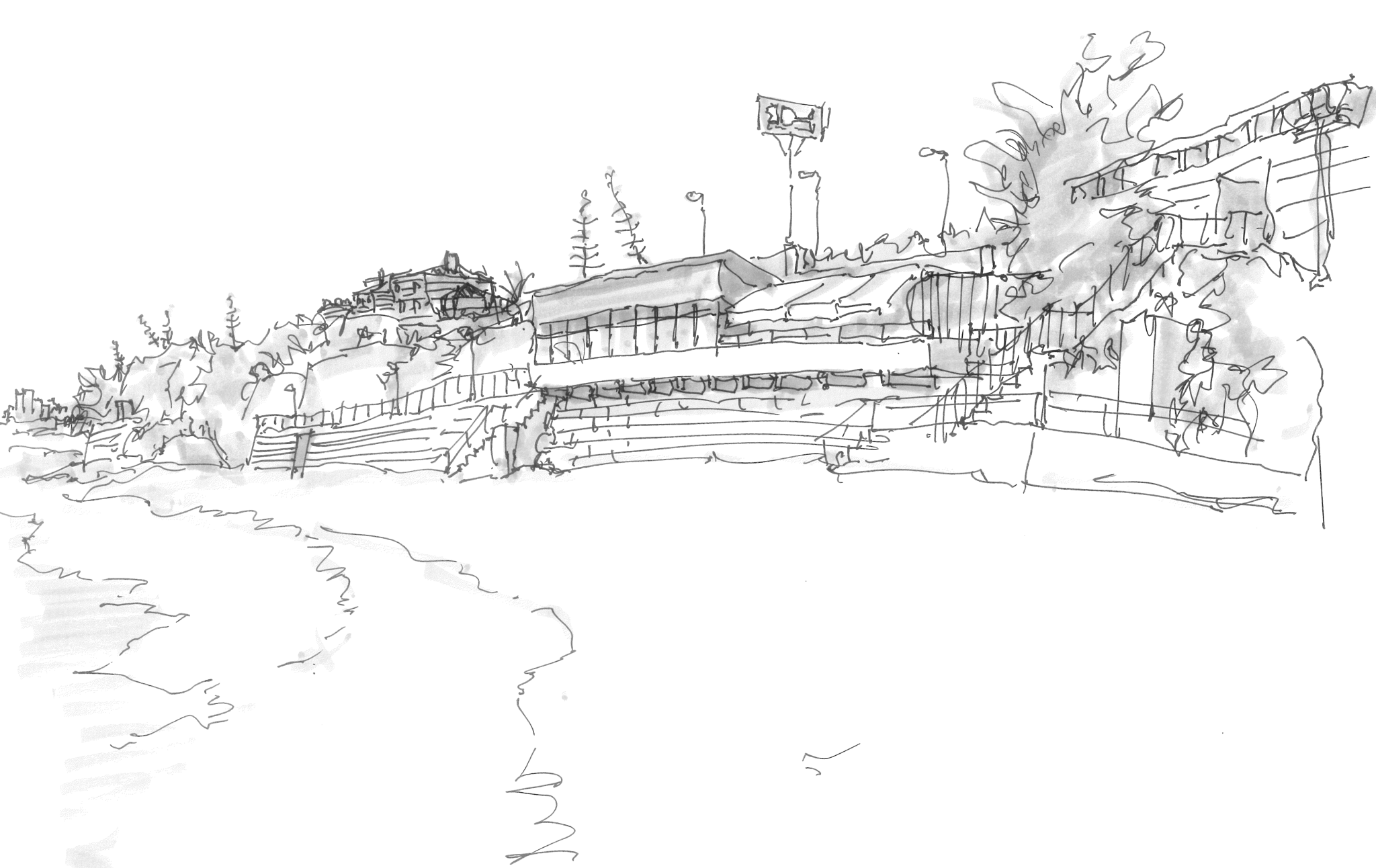 Praia das Avencas / Desenho - Luís Pedro Cruz