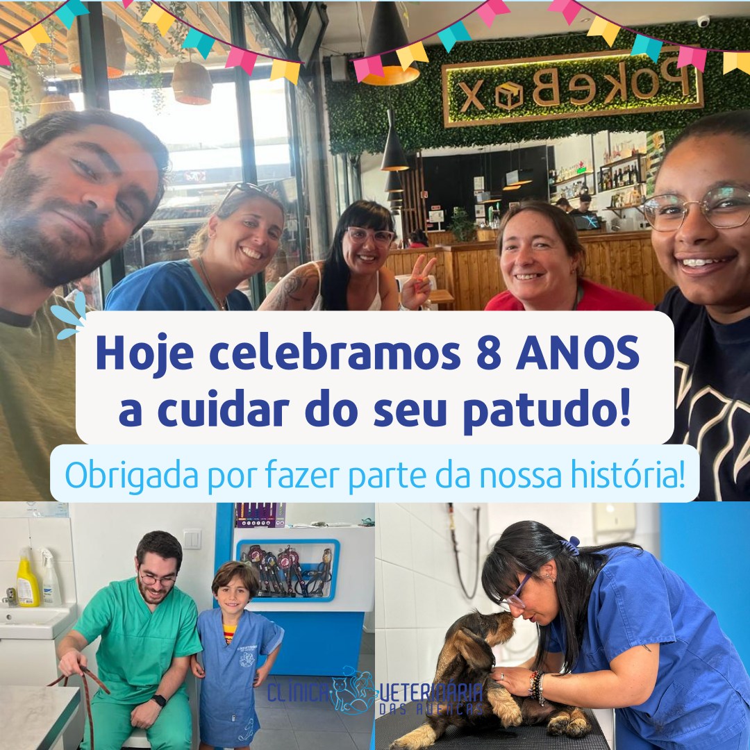 Clínica Veterinária das Avencas - Image 17