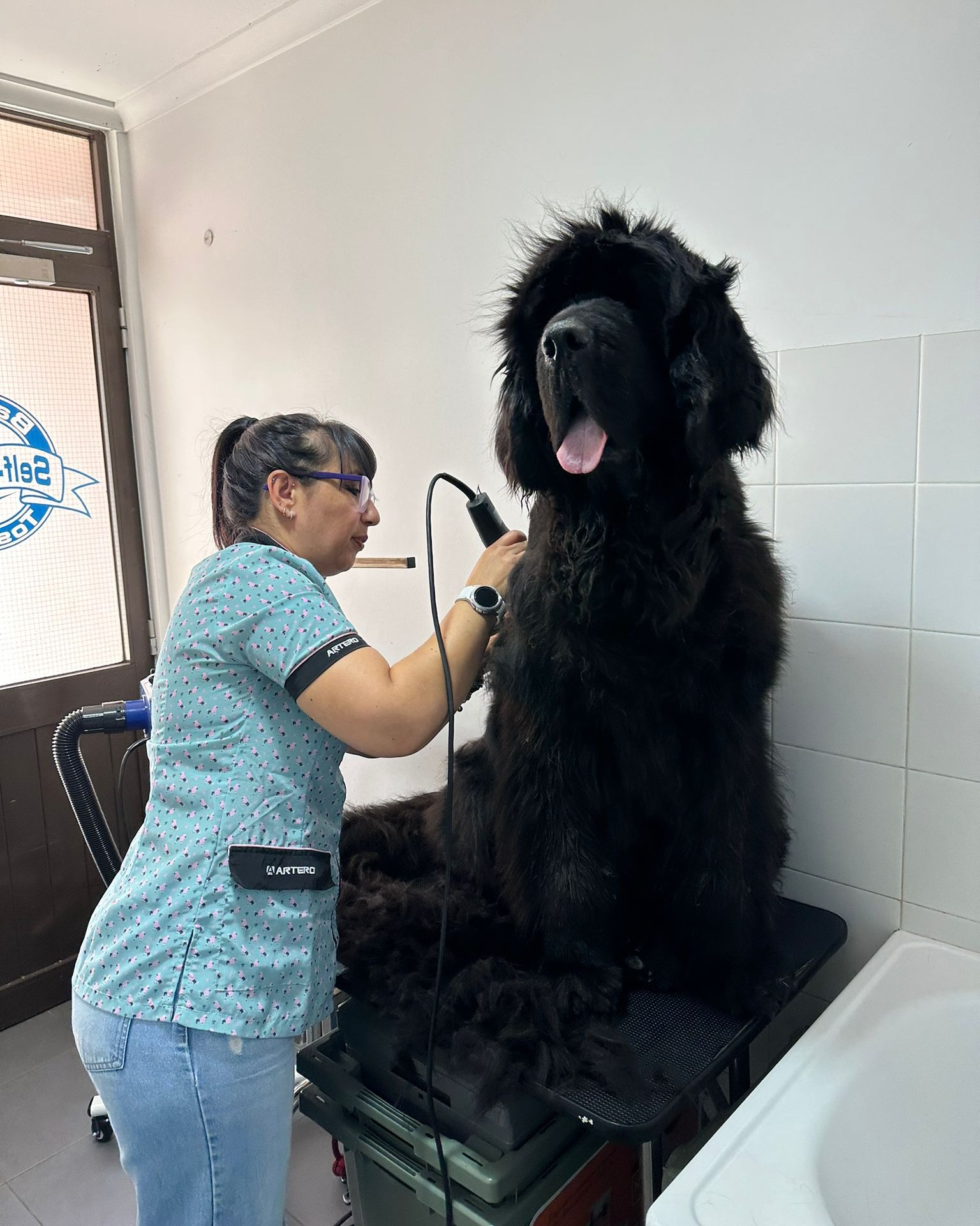 Clínica Veterinária das Avencas - Image 12