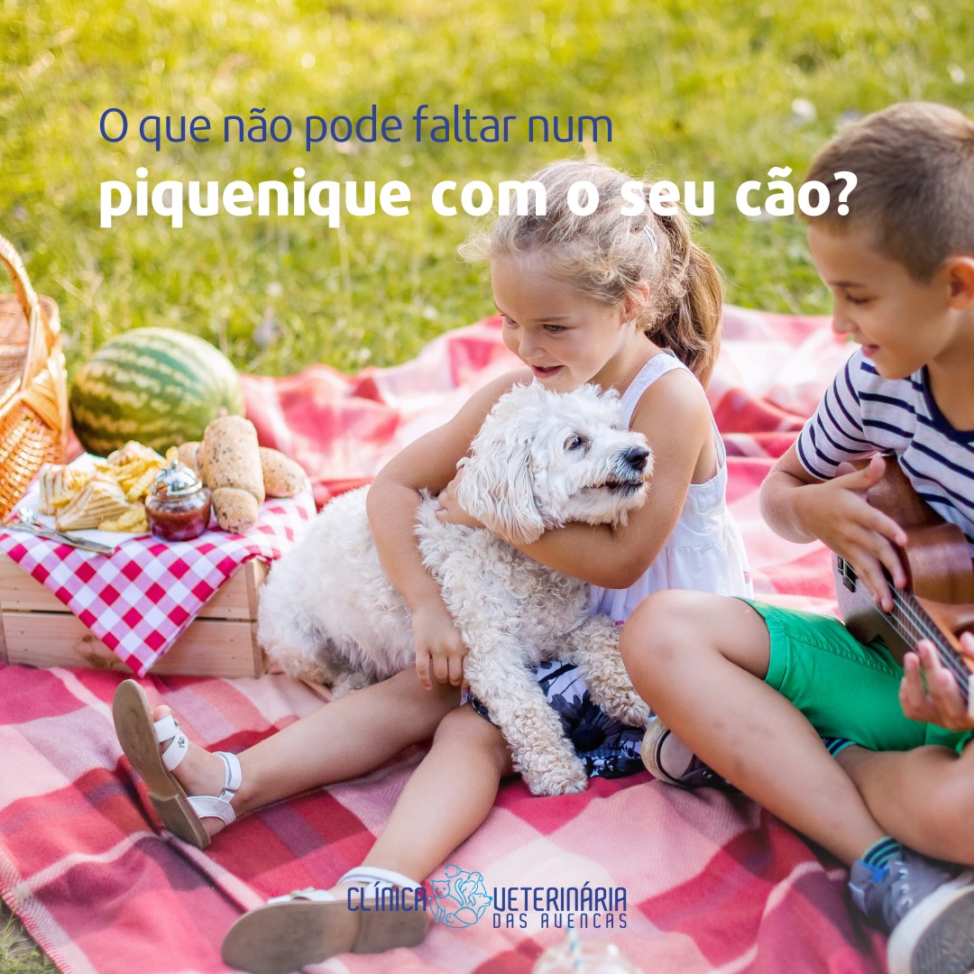 Clínica Veterinária das Avencas - Image 10