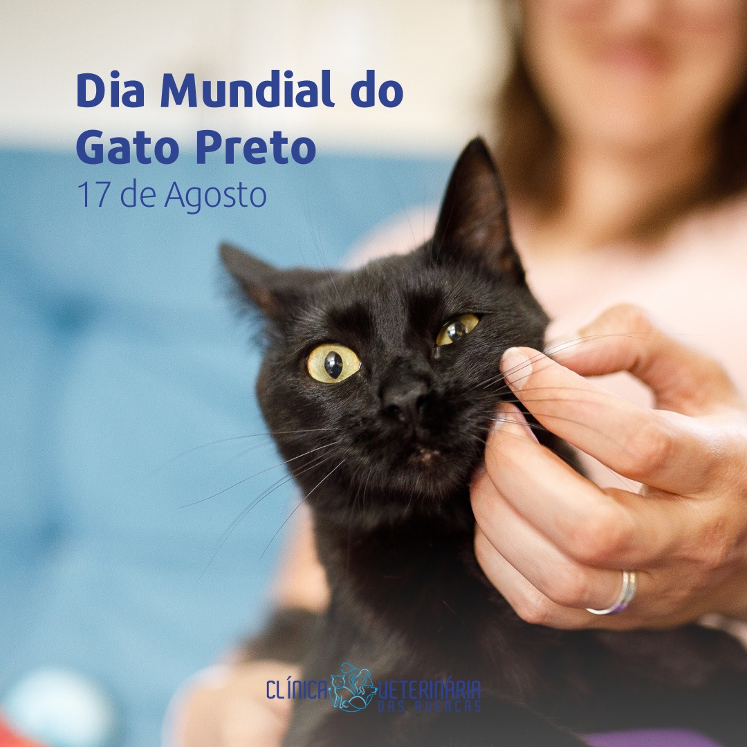Clínica Veterinária das Avencas - Image 9