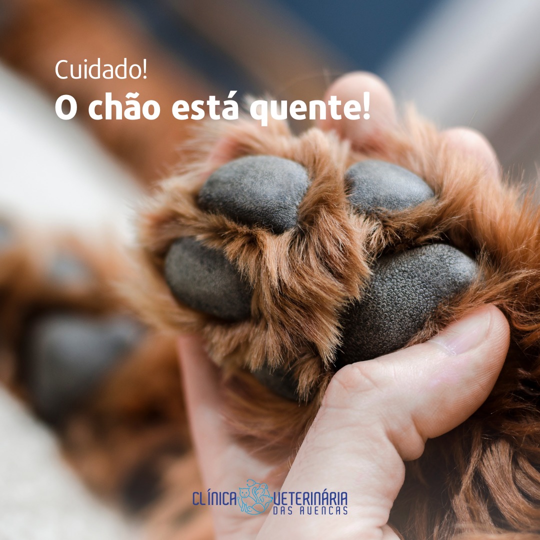 Clínica Veterinária das Avencas - Image 7