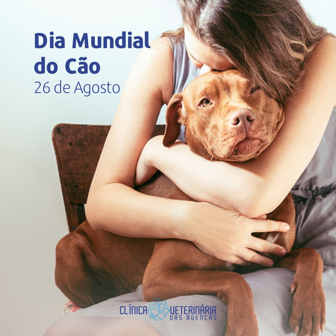 Clínica Veterinária das Avencas - Image 6
